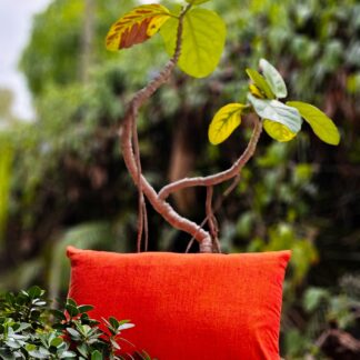 Plain Orange Cushion